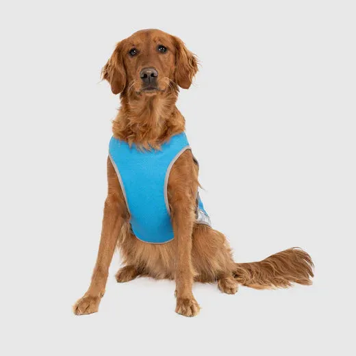 Canada Pooch Chill Seeker Cooling Vest