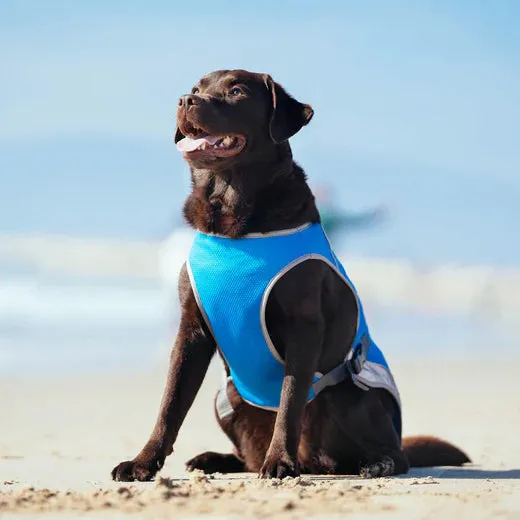 Canada Pooch Chill Seeker Cooling Vest